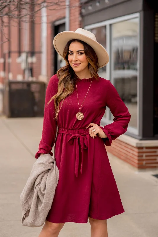 Cinched Long Sleeve Tie Dress Cozy Women's Winter